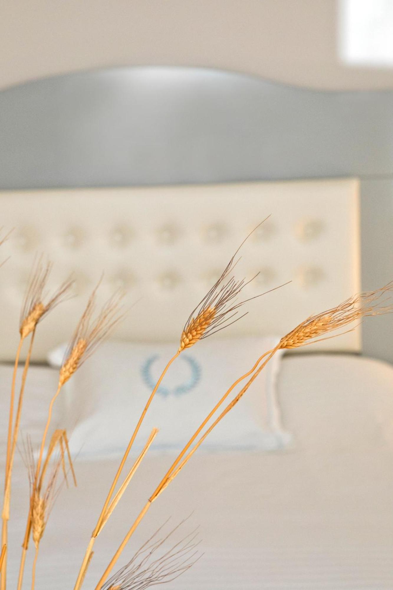 Masouriblu Boutique Hotel Dış mekan fotoğraf
