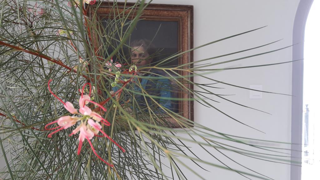 Masouriblu Boutique Hotel Dış mekan fotoğraf